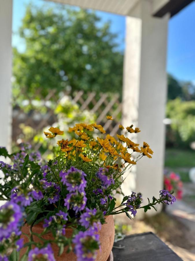 Guest House サウルクラスティ エクステリア 写真